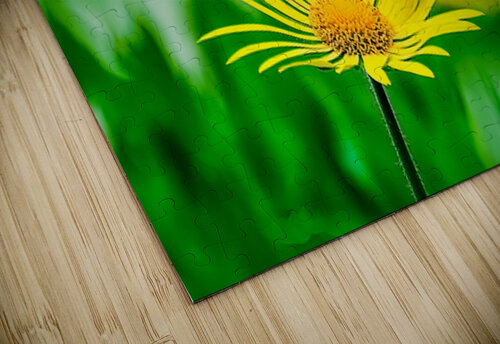 Flower Yellow Ken Foster puzzle