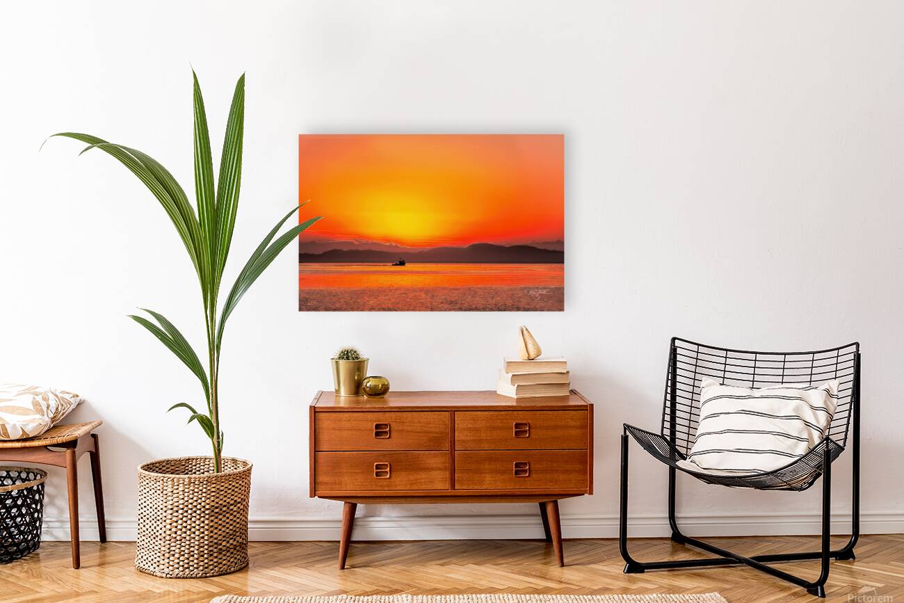 Sailors Warning Reproduction
