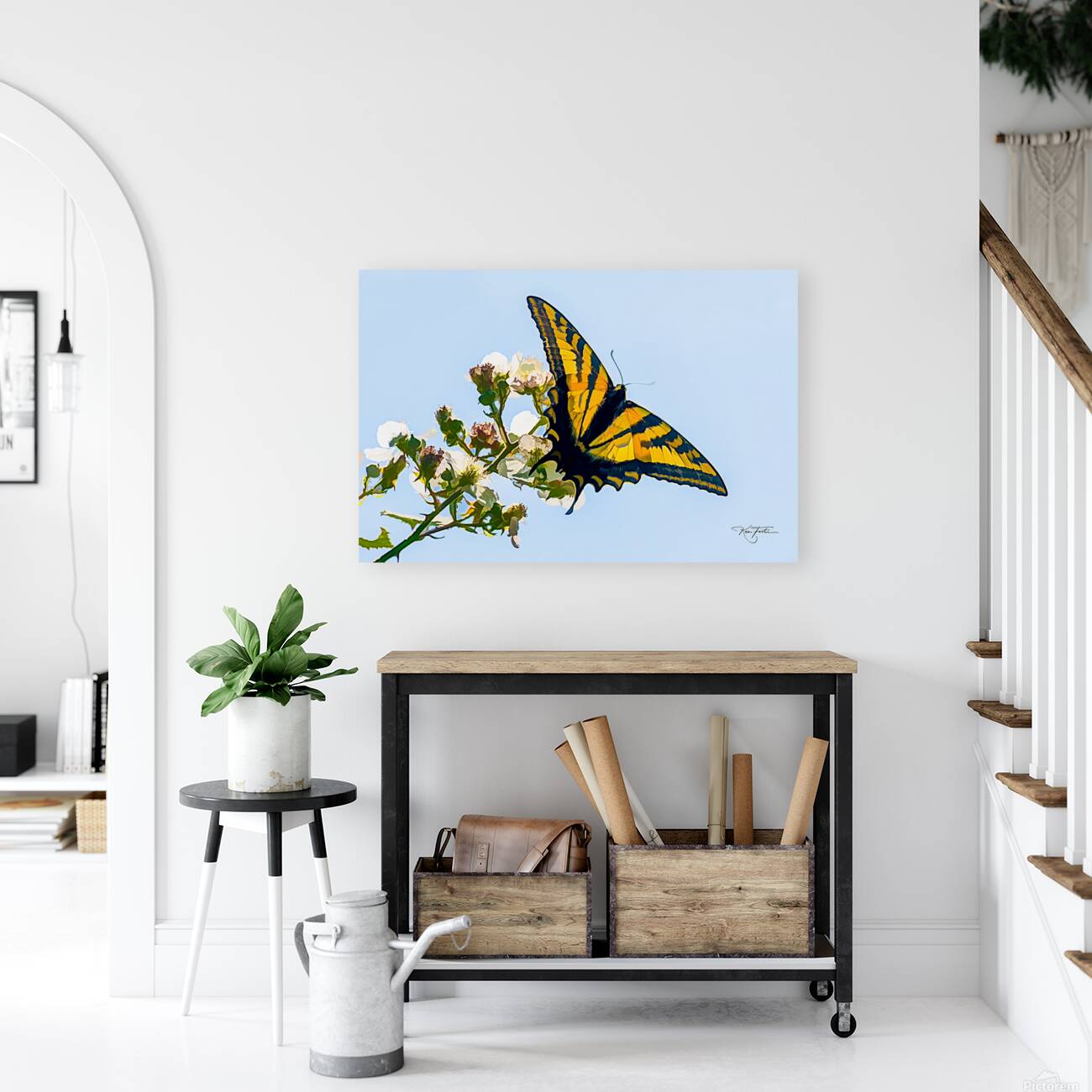 Swallowtail Reproduction