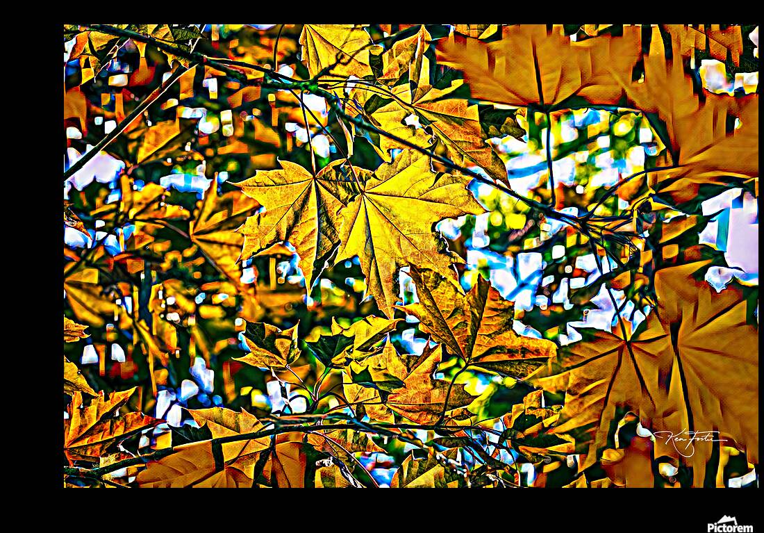 Wider View Reproduction