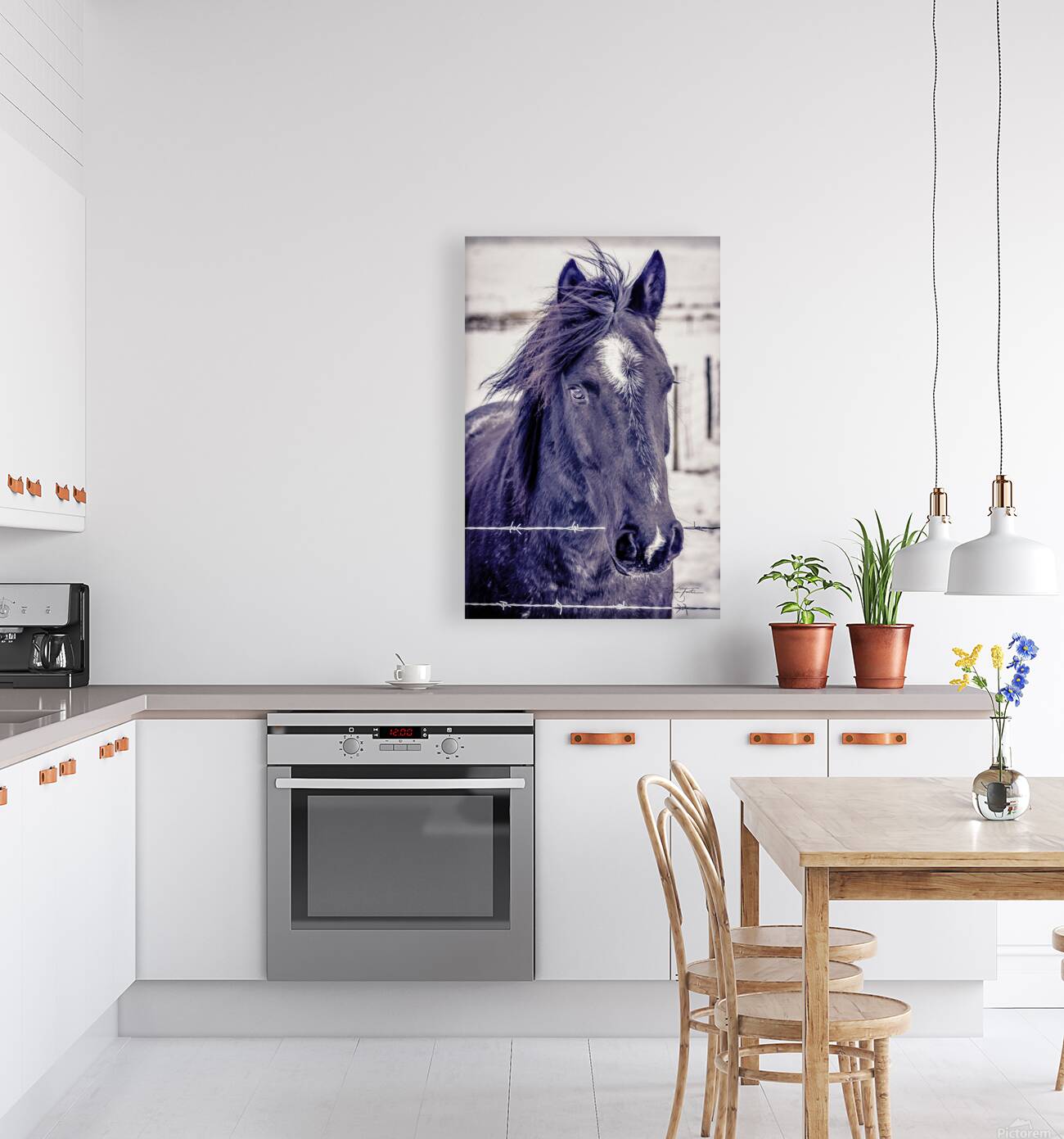 Winter Horse Reproduction