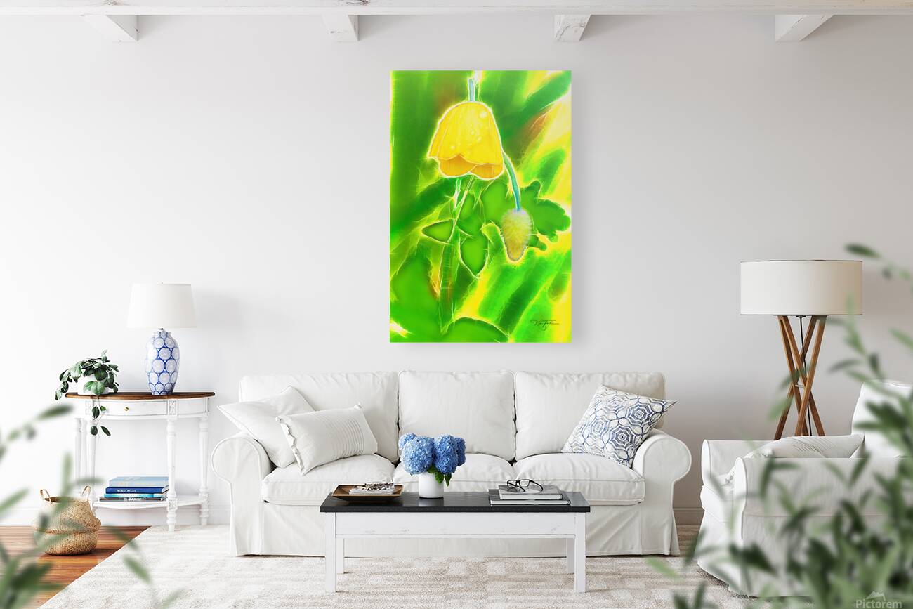 Yellow Poppy Reproduction