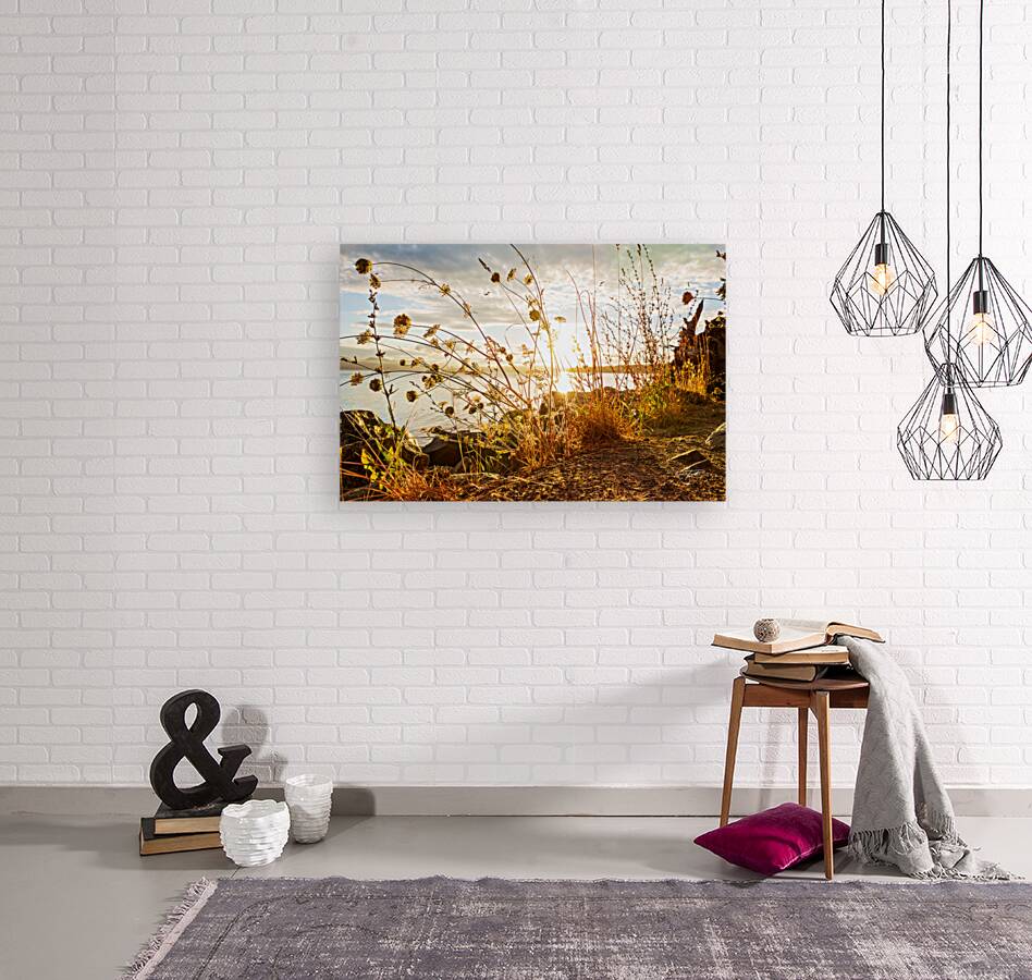 Coastal Trail Reproduction