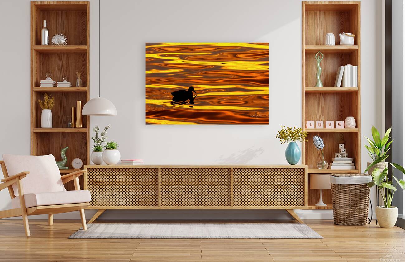 Duck l orange Reproduction