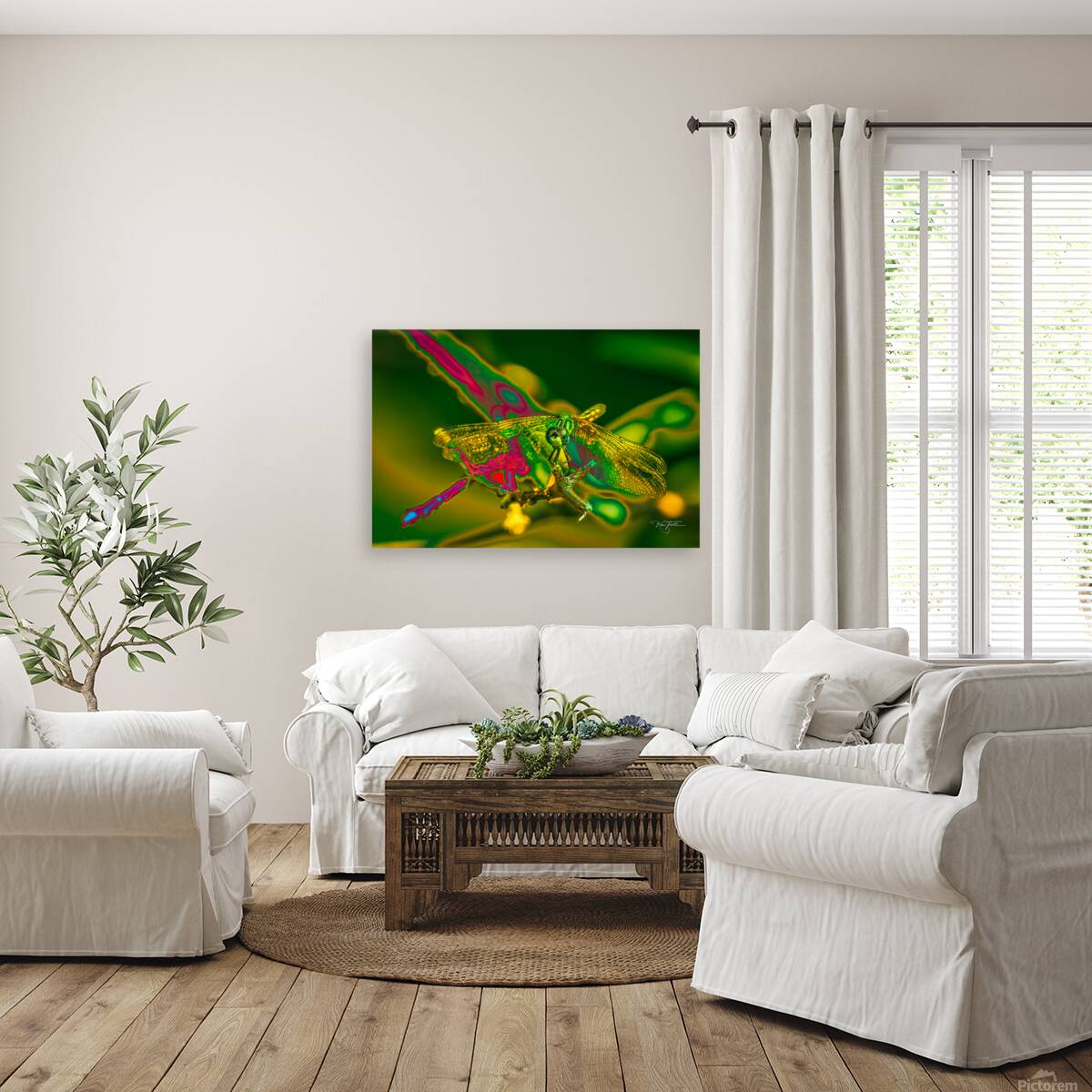 Electric Dragonfly Reproduction