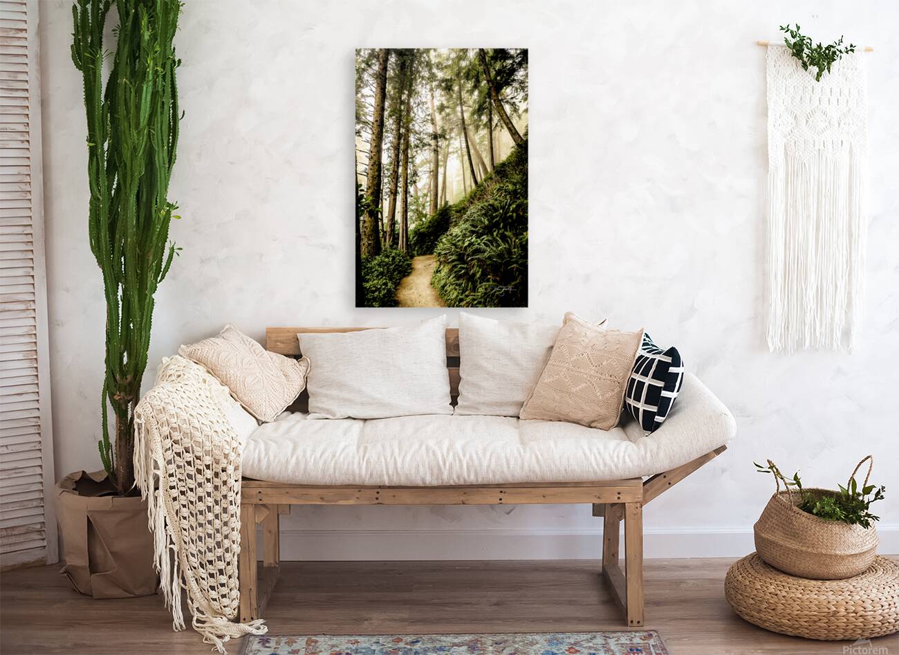 Fern Path Reproduction