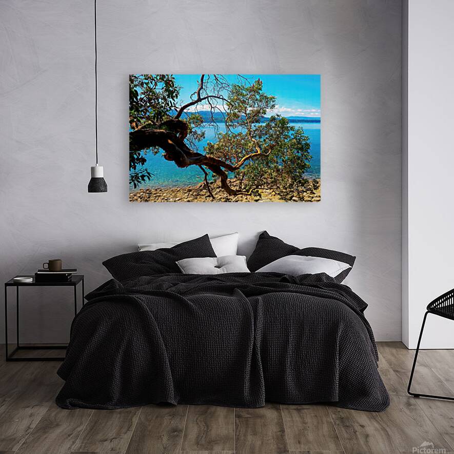 Chosen Shot Reproduction