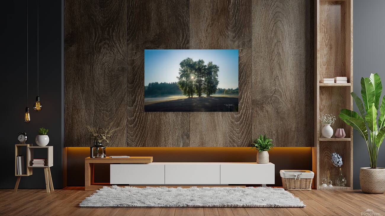 Three Trees Reproduction