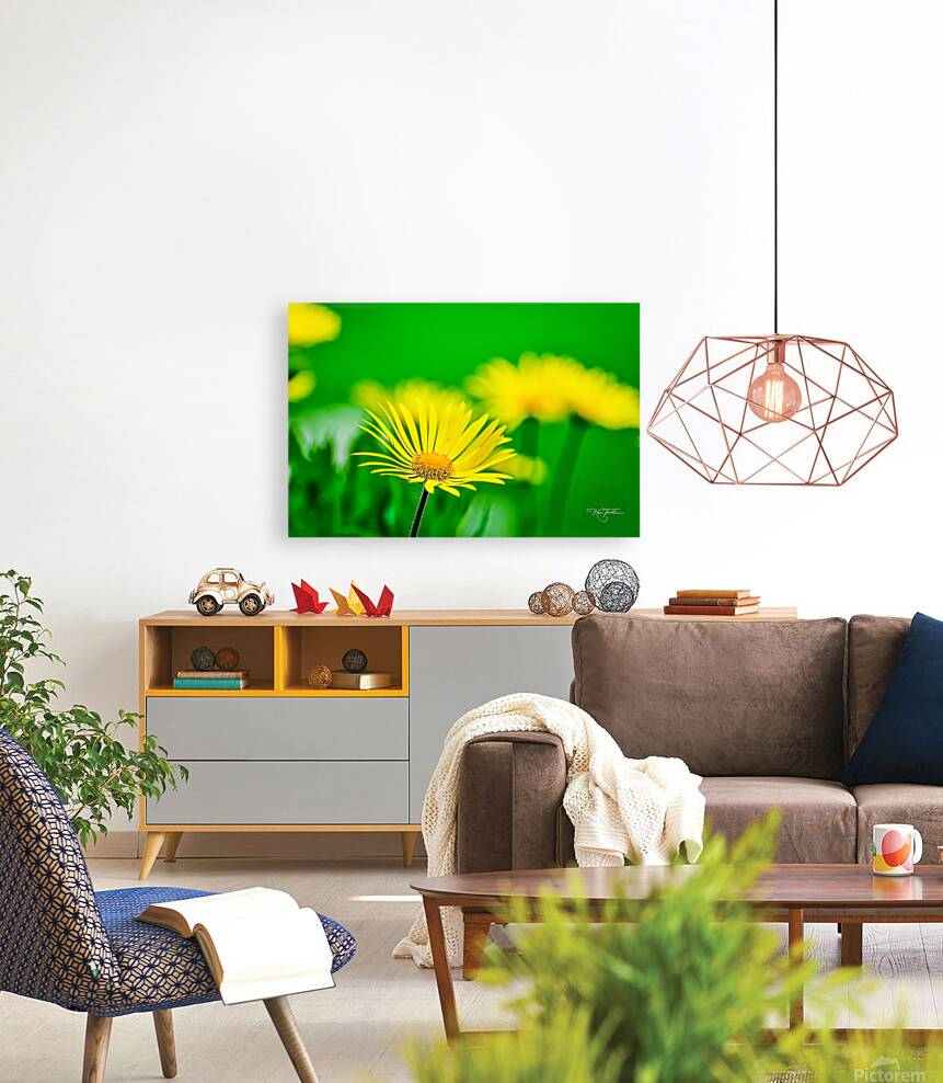 Flower Yellow Reproduction