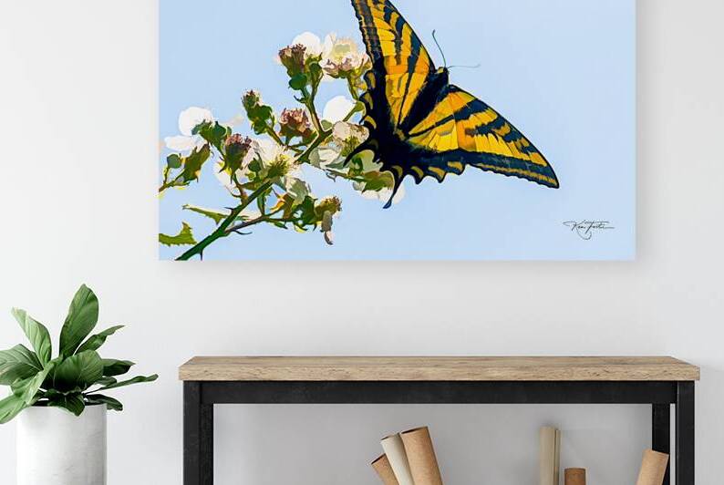 Swallowtail by Ken Foster