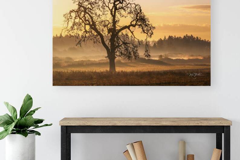Thunderheart - Morning Oak by Ken Foster