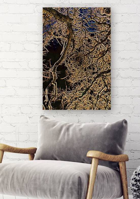 Branch Web by Ken Foster