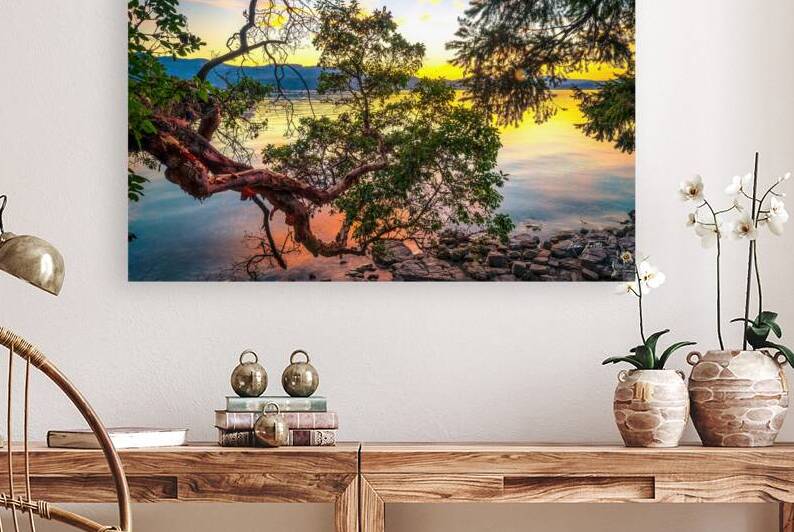 Branching Out by Ken Foster