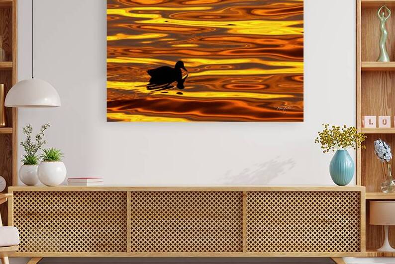 Duck l orange by Ken Foster