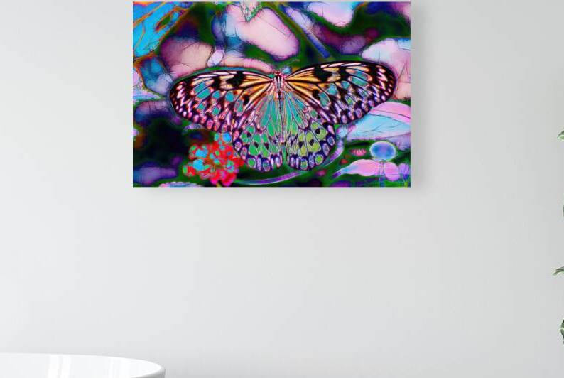 Faeriefly by Ken Foster