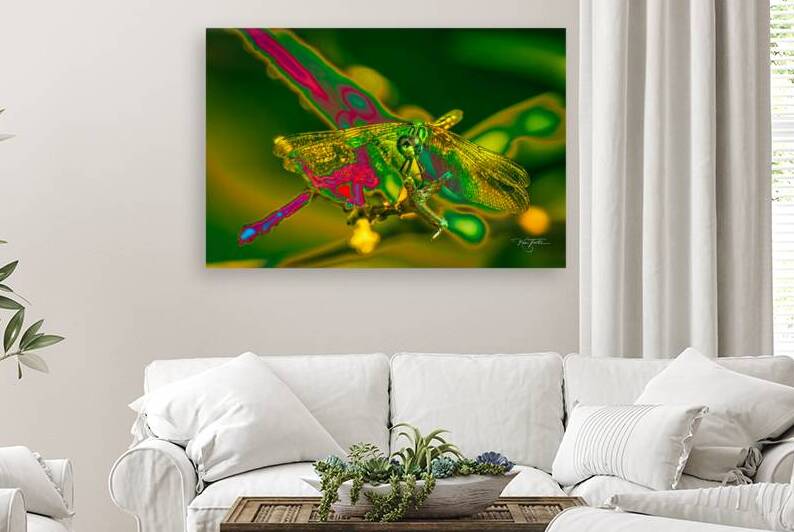 Electric Dragonfly by Ken Foster