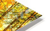 Orange Base HD Metal print