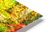 Orange Reflects Red HD Metal print