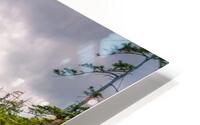 Pass Through HD Metal print