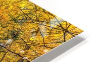 Perpendicular HD Metal print
