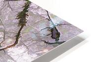 Snow on a Maple HD Metal print