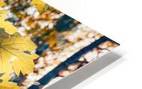 Syrup Tones HD Metal print