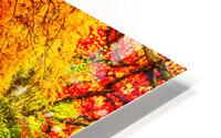 Twisty Doo HD Metal print