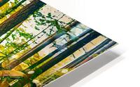 Yellowing with Age HD Metal print