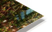 Backyard Heron HD Metal print