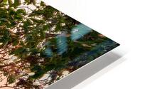 Bark Peel HD Metal print