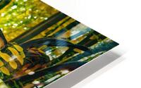 Bent Just Bent HD Metal print
