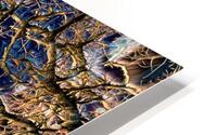 Branch Web HD Metal print
