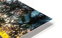 Branching Out HD Metal print