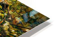 Chrome s Still Good HD Metal print