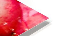Cider Apples HD Metal print