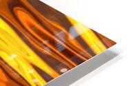 Duck l orange HD Metal print