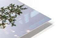 Finally Sun HD Metal print