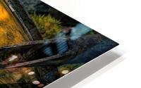 Floaters HD Metal print