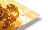 Golden Valley HD Metal print