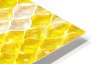 Honeycomb Radiator HD Metal print