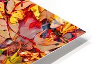 Leaf Pile One HD Metal print