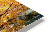 Bareness HD Metal print