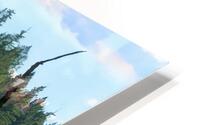 Fishers HD Metal print