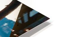 Night Heron HD Metal print