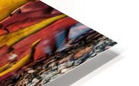 Bare Patch HD Metal print
