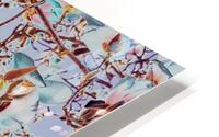 Magnolia Spring HD Metal print