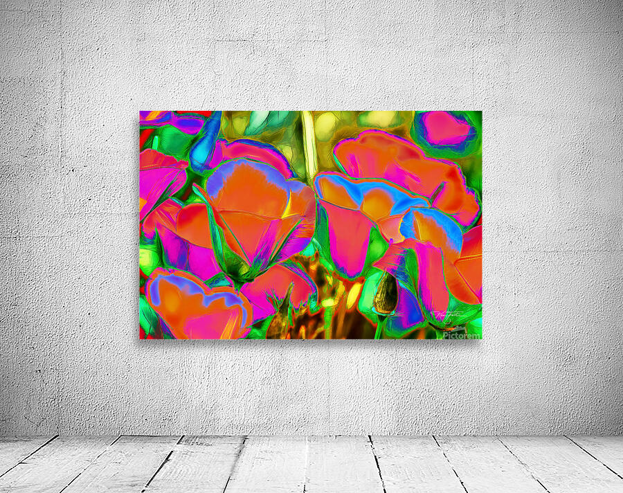 Orange Poppies Orange Wall Preview