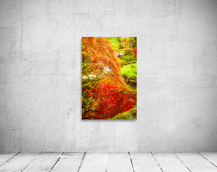 Orange Reflects Red Wall Preview