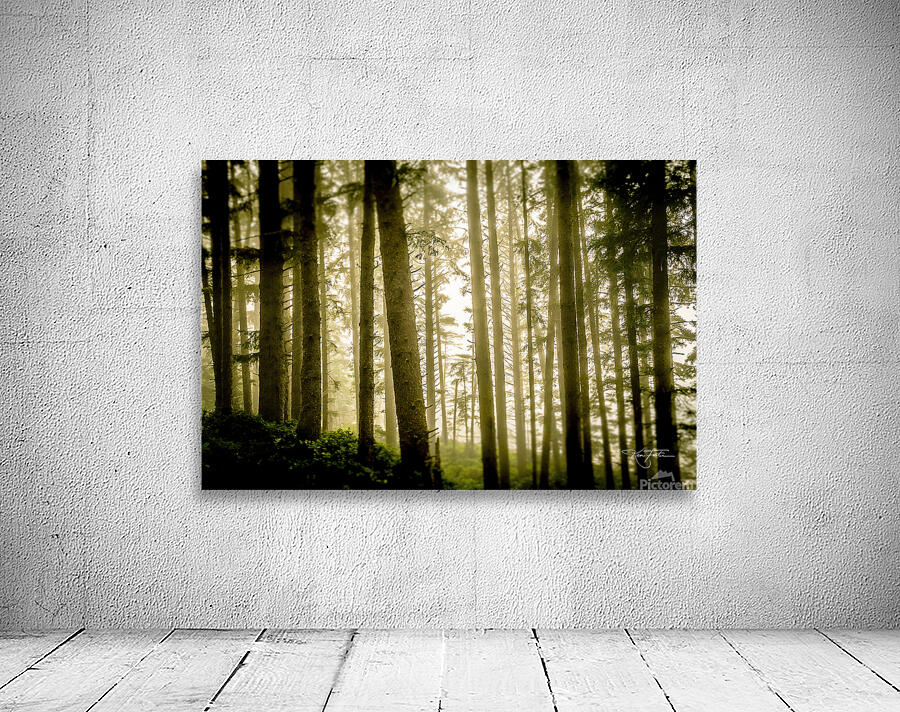 See the Beach Wall Preview
