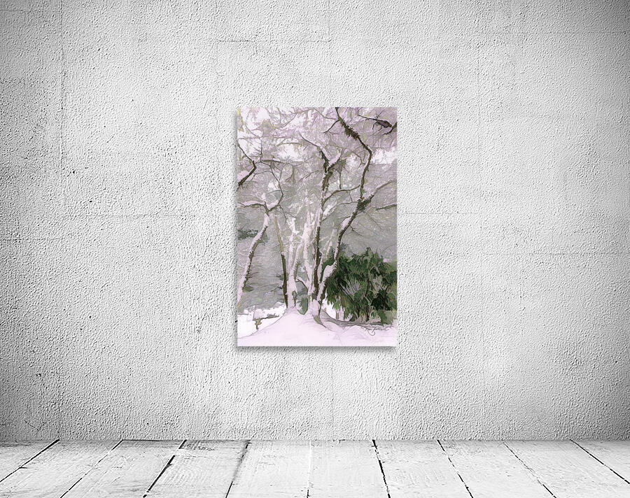 Snow on a Maple Wall Preview